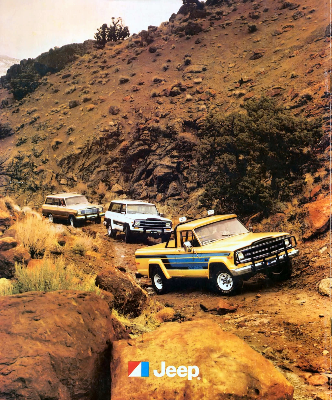 n_1980 Jeep Full Line-28.jpg